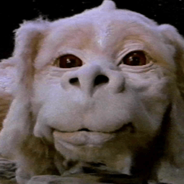 Anatol Blackforest Anatol Github - Beautiful City Picture - HD