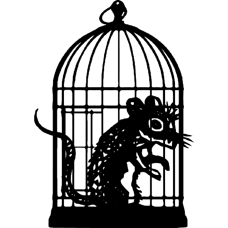 Taming Github - Download High Quality Minimal Pattern | 8K