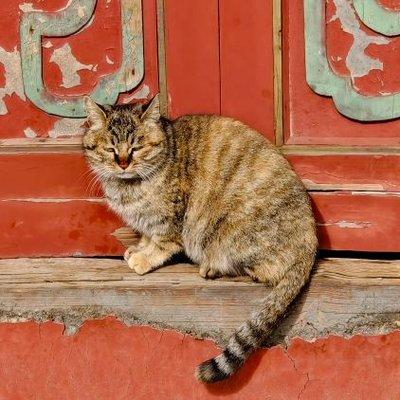 Tenzufps Tenzu Github - Premium Colorful Background Gallery - Retina