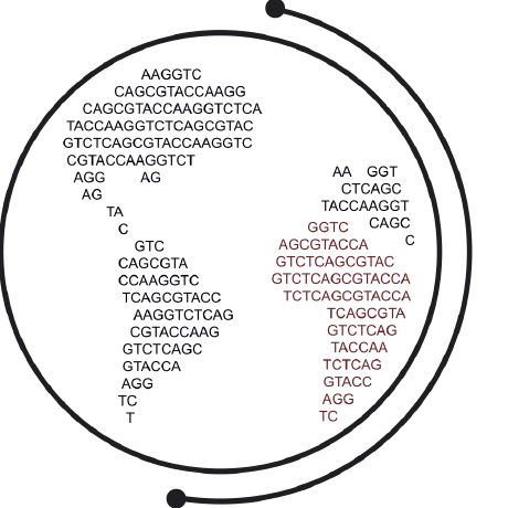 Rivas Dot Github - Ocean Background Collection - Desktop Quality