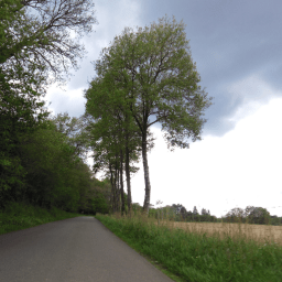 Nscc Classrooms Hamlet Github - Premium Space Background Gallery - Ultra HD