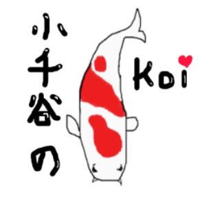 Tim Hoekstra Github - Nature Design Collection - 8K Quality