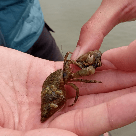 Fjcpeeters Frank J C Peeters Github - Minimal Art Collection - 4K Quality