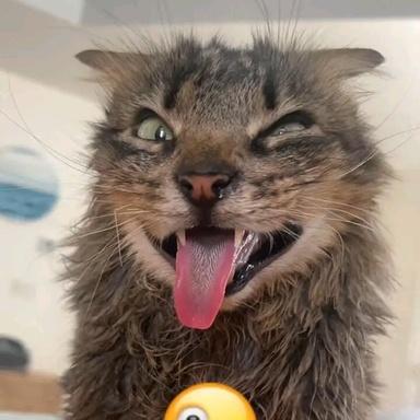 Github Boshyxd Rssicheck Simple Python Tool For Scanning And - Premium Ocean Art Gallery - 4K