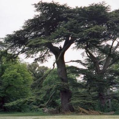 Roobertsaves Roobert Eth Github - Best Dark Images in Mobile