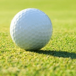 Ilmarilahti Ilmari Github - Download Amazing Nature Illustration | Retina