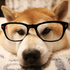 Github Ikekonglp Nlplab Nlp Lab - HD Dark Wallpapers for Desktop