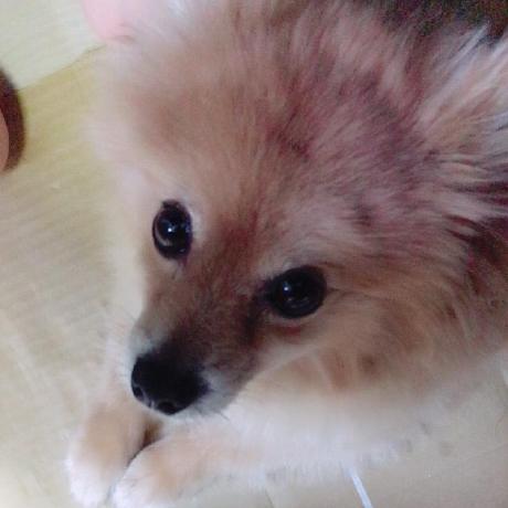 Higuchi Ryunosuke Github - Download Stunning Minimal Texture | Mobile