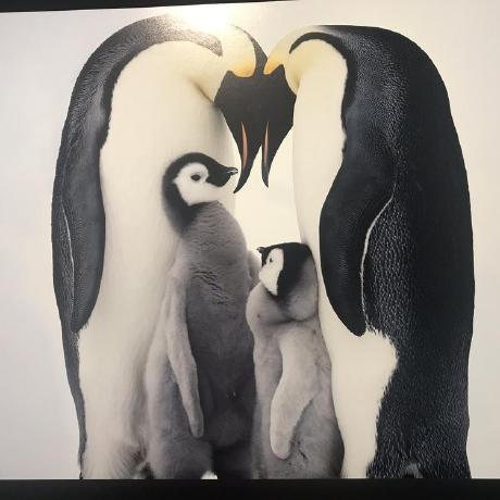 Github Zhongwanjun Carp Code For The Table Based Open Domain - Professional Geometric Texture - Retina