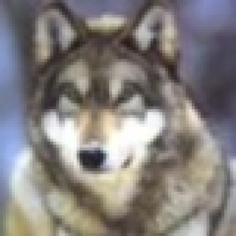 Patrice99 Patrice Gill Github - Vintage Picture Collection - Full HD Quality