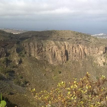 Thomask Github - Premium Ocean Design Gallery - Desktop