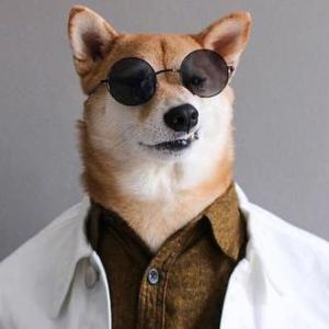 Mahui Mahui Github - Creative Nature Image - HD