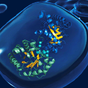 Github Kiharalab Deepmainmast Deepmainmast - High Quality Desktop Minimal Arts | Free Download