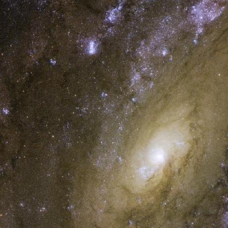 Github Tomtaranto Fyc - Download Ultra HD Gradient Design | Ultra HD