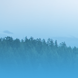 Issues Lightly Ai Lightly Github - Ultra HD City Photos for Desktop