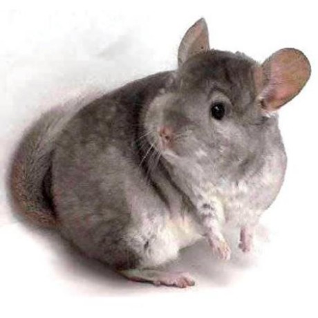 Releases Rmcrackan Libation Github - Premium Vintage Wallpaper - 8K