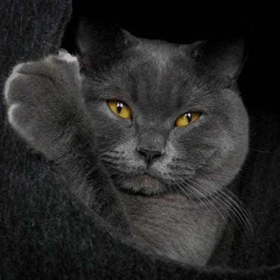 Sources Anddea Revanced Patches Wiki Github - Best City Backgrounds in 4K