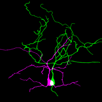 Github Alimuldal Diptest Python C Implementation Of Hartigan - 8K City Images for Desktop