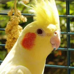 Moto Elliot Github - Premium Minimal Art Gallery - Desktop