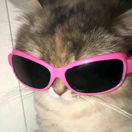 Veronicaa29 Caplea Veronica Github - Best Light Illustrations in 8K