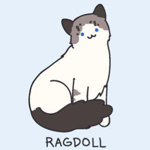 Coderutil 77 Github - Premium Abstract Image Gallery - 8K