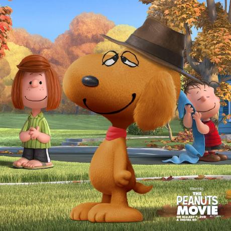 Haolvtt L H O Github - Classic Light Photo - Retina