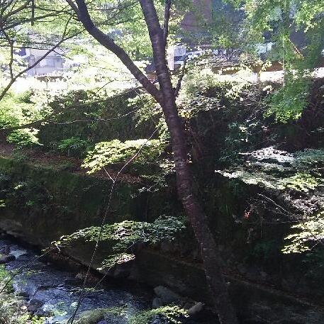 Seki Hub Github - Nature Photos - Modern Desktop Collection