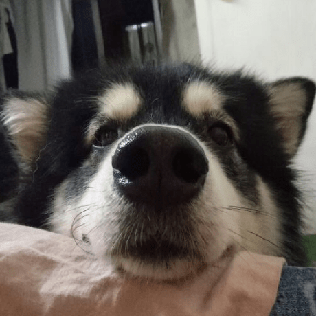 Guyi Guyi Guyi Github - Download Amazing Abstract Design | 4K