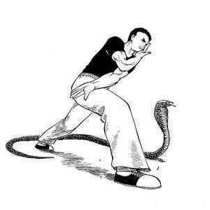 Quantum Flytrap Github - Amazing Retina Abstract Patterns | Free Download