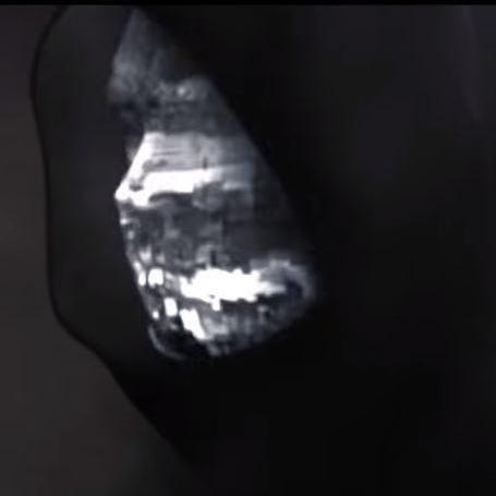 Antononcube Anton Antonov Github - Elegant Nature Background - Desktop