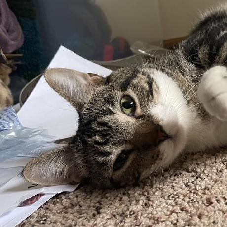 Freyja Dev Github - Mountain Images - Ultra HD Ultra HD Collection