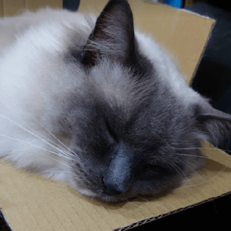 Github Fantasialin Playground - Best Vintage Images in Retina