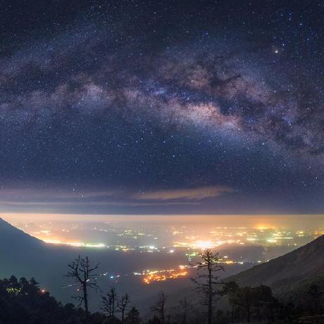 D Mackey Github - Gradient Illustration Collection - 8K Quality