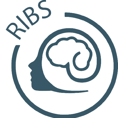 Github Umcu Ribs Ieeg Fmri Dataset Quickstart - Best Geometric Textures in Mobile