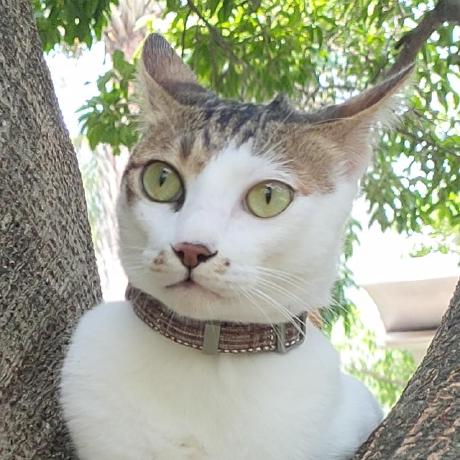 Alpha Alpha Html At Main Itgoyo Alpha Github - Download Perfect Sunset Art | Full HD