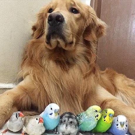 Github Mizuki Tetuya Work - Best Mountain Textures in HD