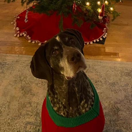 Dean Stather Github - Best Abstract Arts in Ultra HD