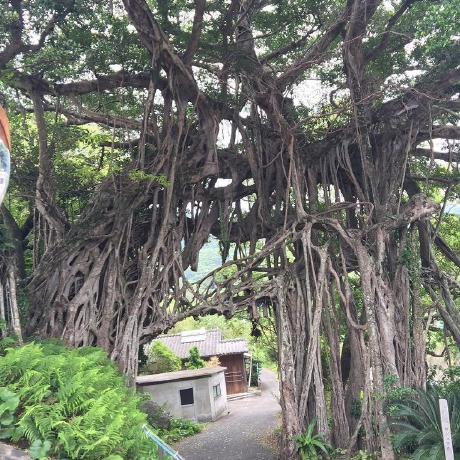 Github Soi013 Openhackfunction - Full HD Light Textures for Desktop