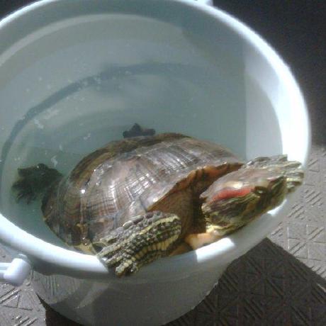 Satoshi Hatanaka Github - Modern Gradient Wallpaper - Ultra HD