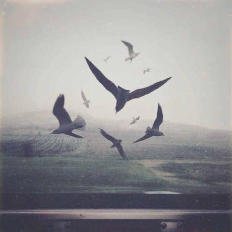 Github Samyycx Weaponpaintstranslator Cs2 Weaponpaints - Mountain Patterns - Premium 8K Collection