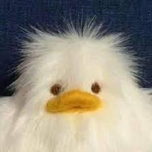 Arco Design Themes - Best City Pictures in HD