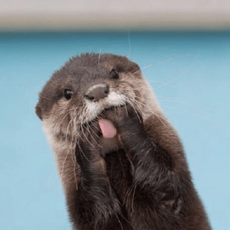 Github Dingshizhe Ptv Dataset A Real World Dataset For Scattered - Vintage Illustration Collection - HD Quality