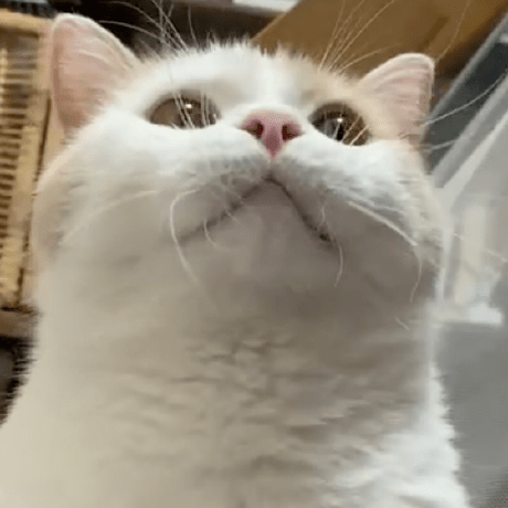 Charlotteniya Charlotte Github - Gradient Illustrations - Artistic Full HD Collection