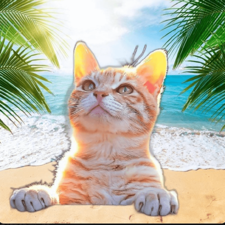 Yuhaiyang1 Yhy Github - Premium Ocean Picture Gallery - 8K