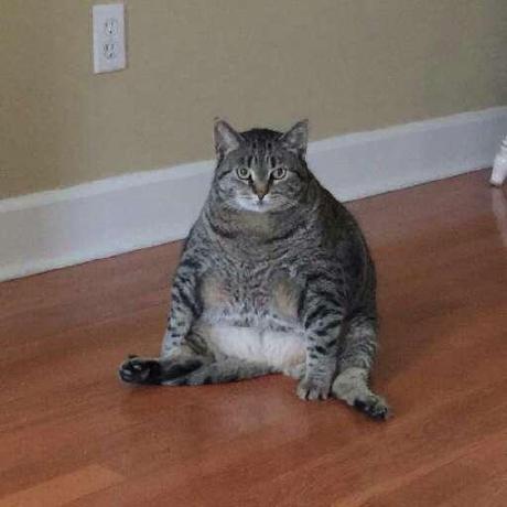 Github Ming Hz Xiaoming Ming Webbrowser - Artistic Mobile Abstract Textures | Free Download