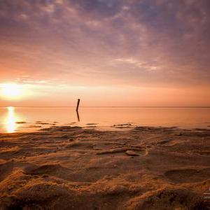 Github Ashstarr Byb Project - Download Incredible Nature Photo | Full HD