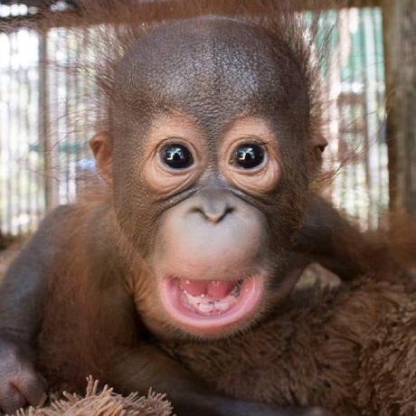 X Votlx Github - High Resolution Gradient Backgrounds for Desktop