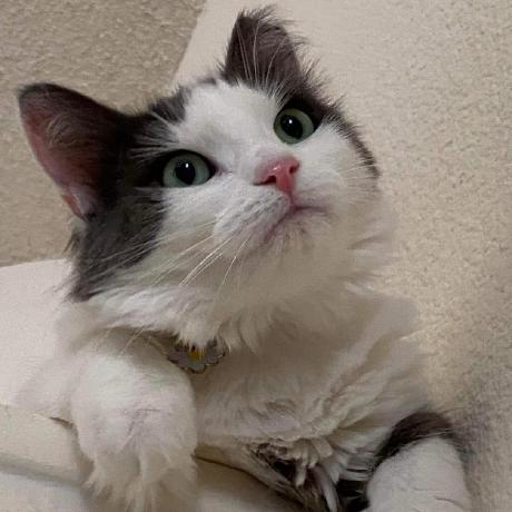 Yuishihara Yu Ishihara Github - 8K Sunset Illustrations for Desktop