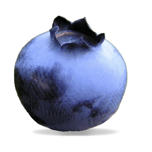 Blueberryy Github - Abstract Image Collection - Retina Quality