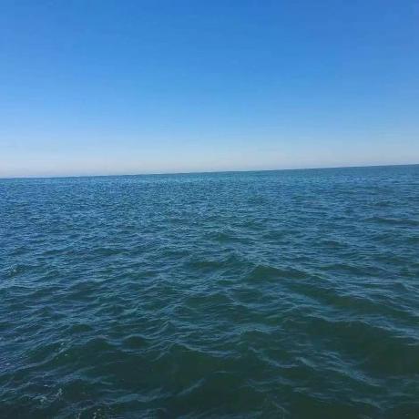 Frances Luo Github - Best Geometric Designs in Ultra HD